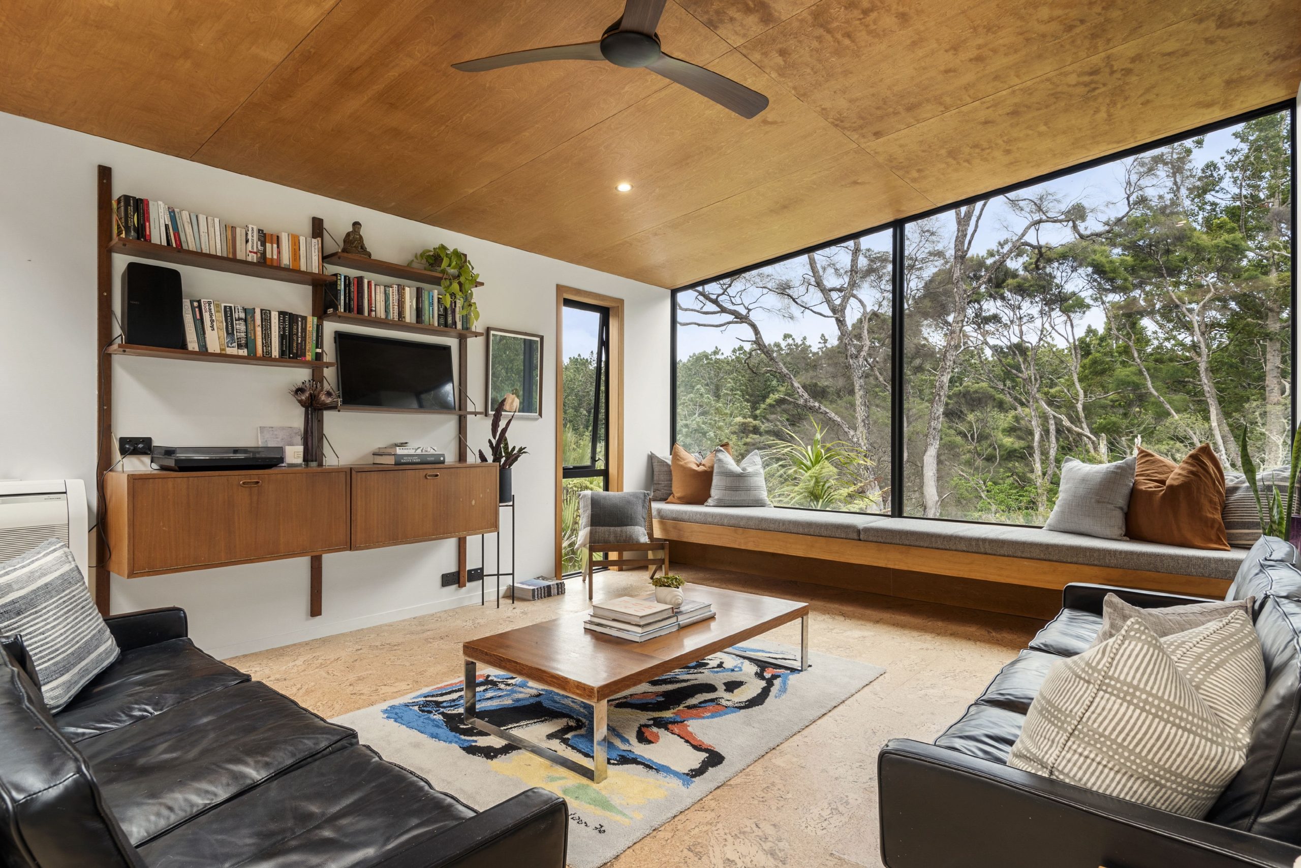 Kauri