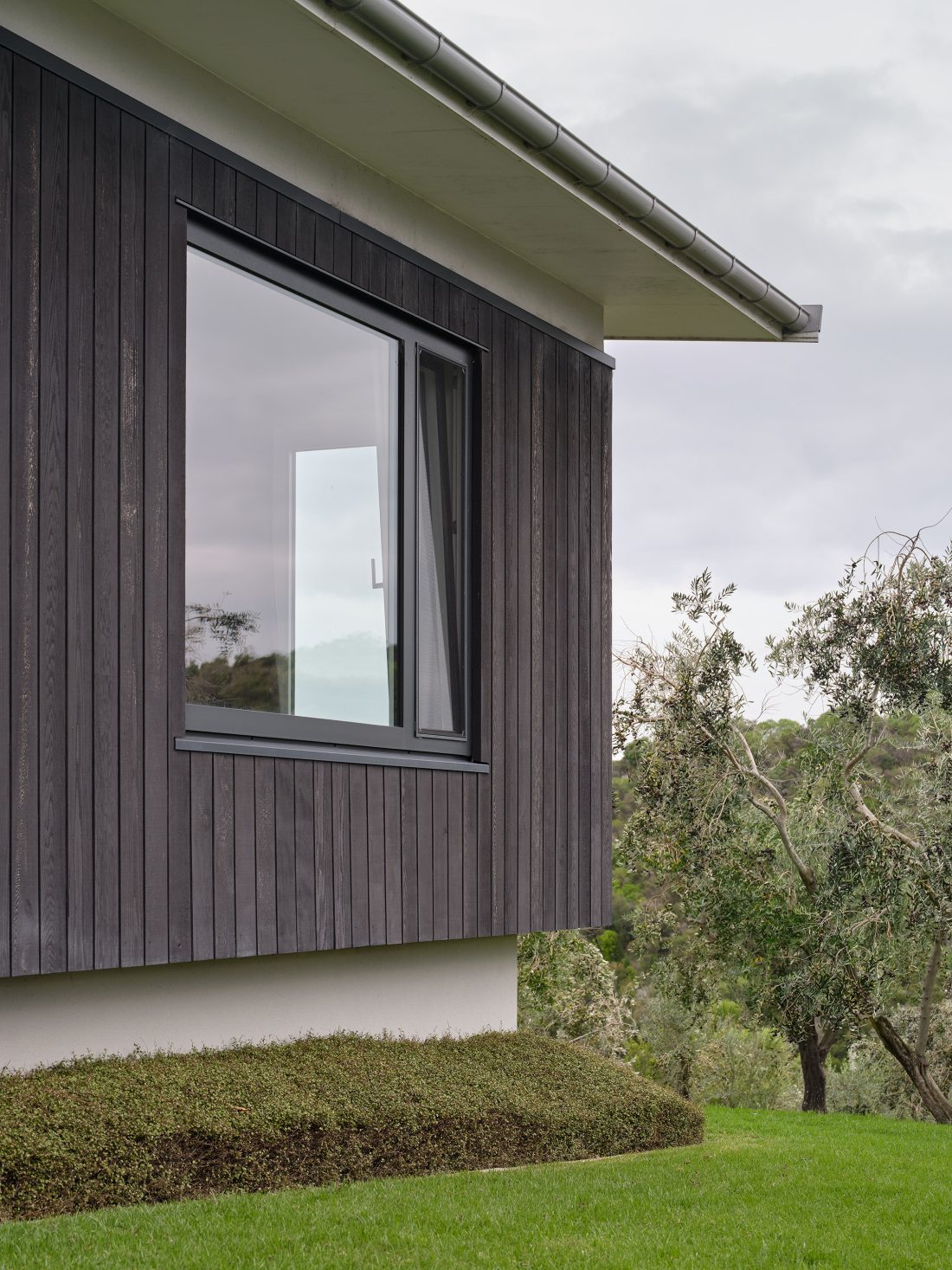 Church Bay - home in an olive grove above Matiatia Bay, Waiheke Island (image 5 of 11)
